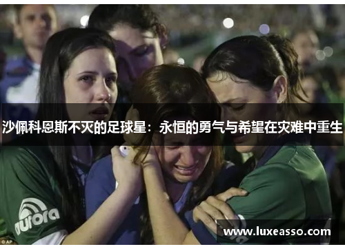 沙佩科恩斯不灭的足球星：永恒的勇气与希望在灾难中重生